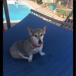 Meet your Posher, Deborah